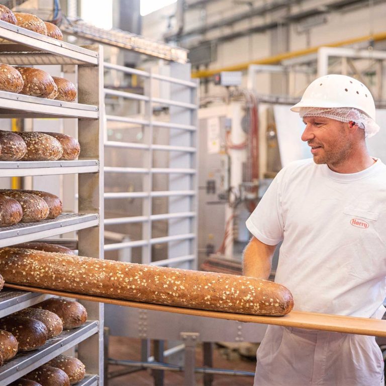 Azubi Ausflug 2025 Marktkauf Oschatz bei Harry Brot Wiedemar