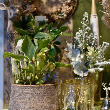 Dekoration Weihnachten Blumenshop Marktkauf Oschatz