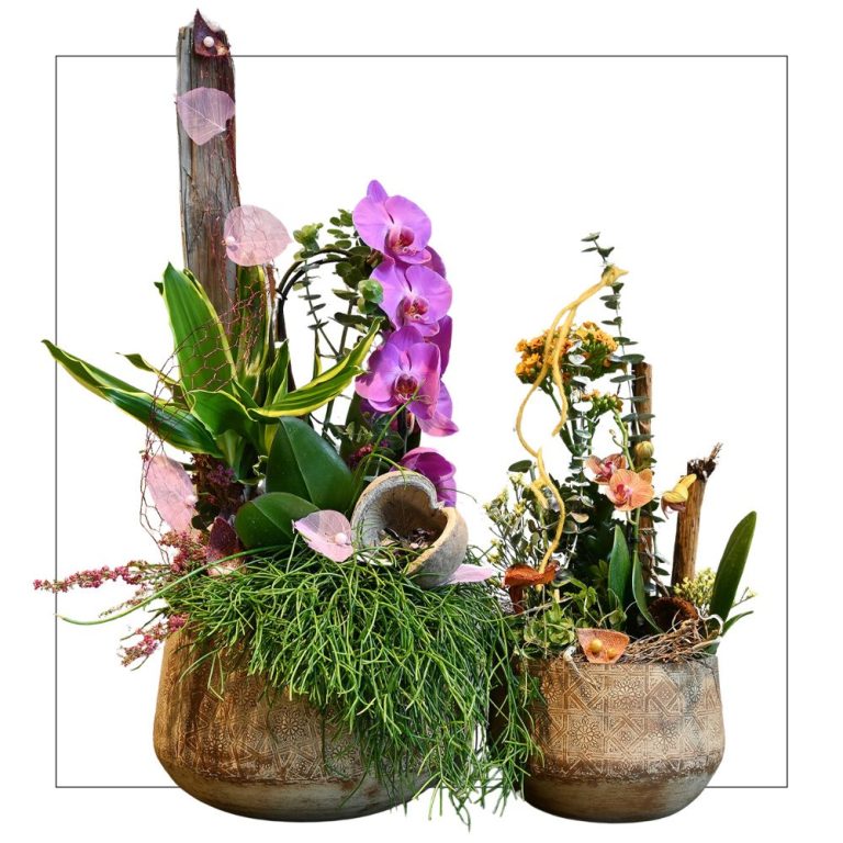 Blumengestecke Blumenshop Marktkauf Oschatz