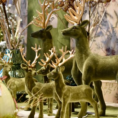 Dekoration Weihnachten Blumenshop Marktkauf Oschatz