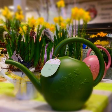 Frühling Blumenshop Marktkauf Oschatz